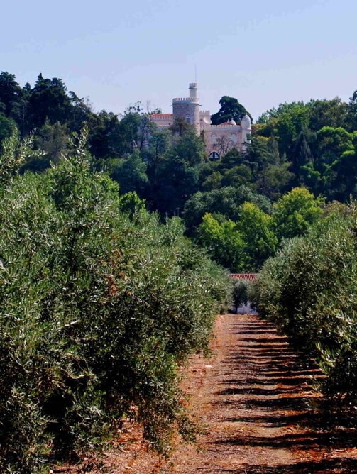 Casa Anadia - Kaštieľ s olivovníkmi (pohľad)