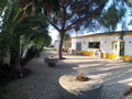 Oleoturismo Azeite Ficalho, Vila Verde de Ficalho (PT)