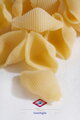 Conchiglie 500g Setaro
