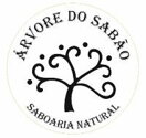 Árvore do Sabão